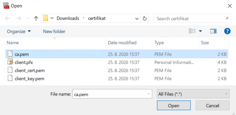 certificate_import_wizard_-_browse_-_ca.png