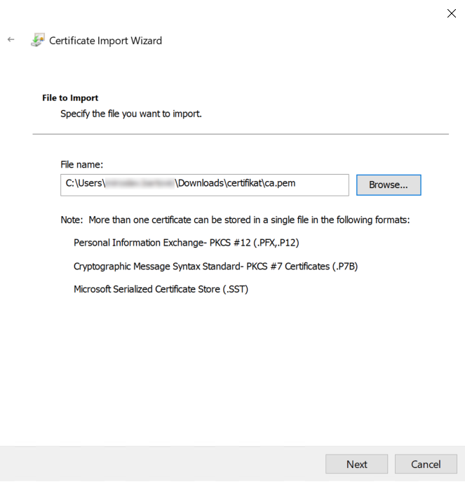 certificate_import_wizard_-_file_-_ca.png