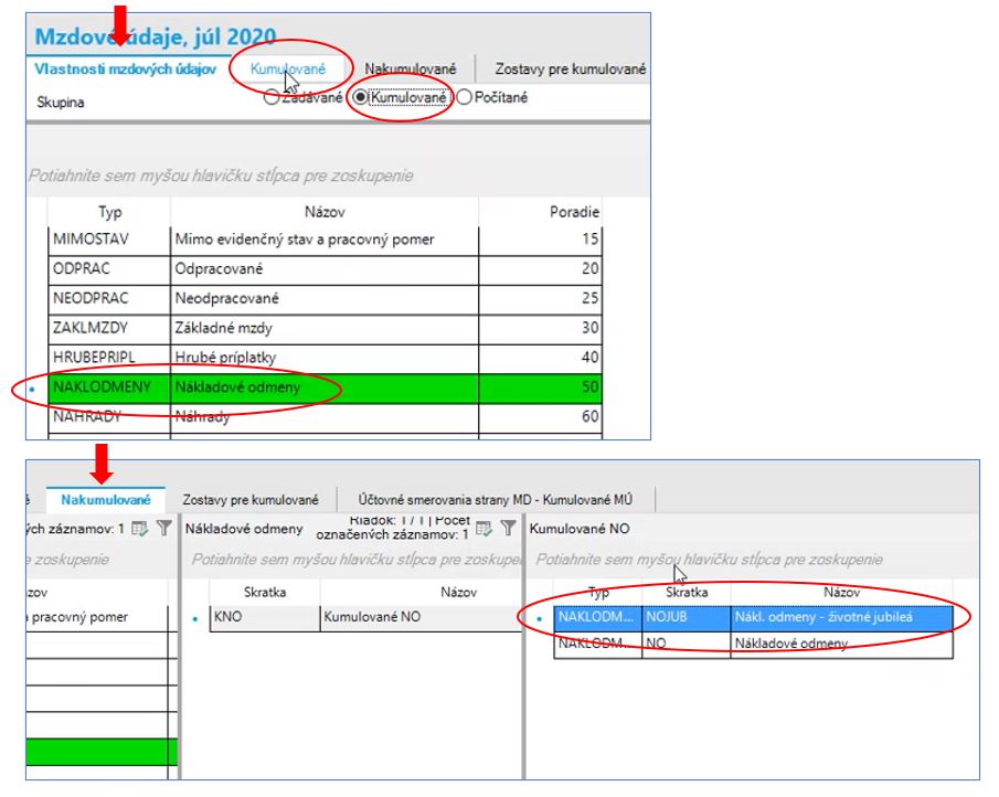 kumulovane_mzdove_udaje9.jpg